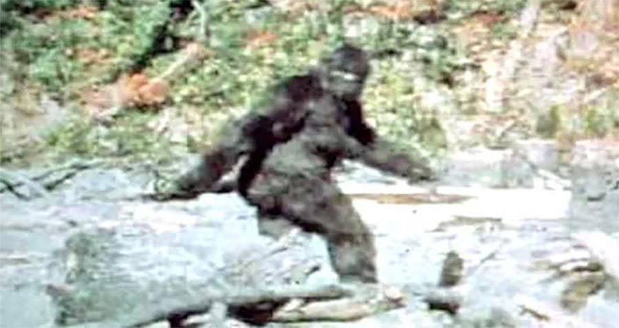 famous-bigfoot.jpg